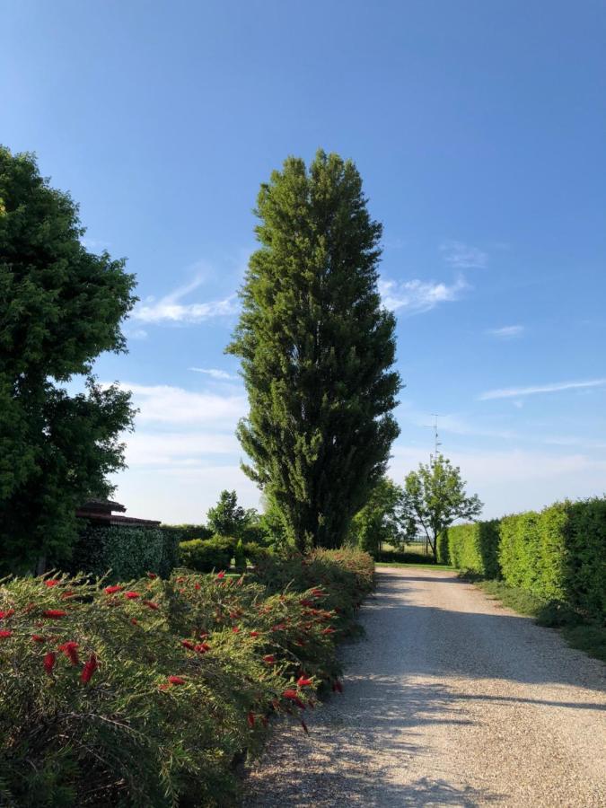 Via D' Este 8 Gualtieri Exteriör bild